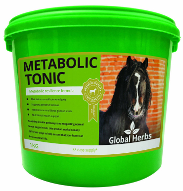 Global Herbs Metabolic Tonic 1kg